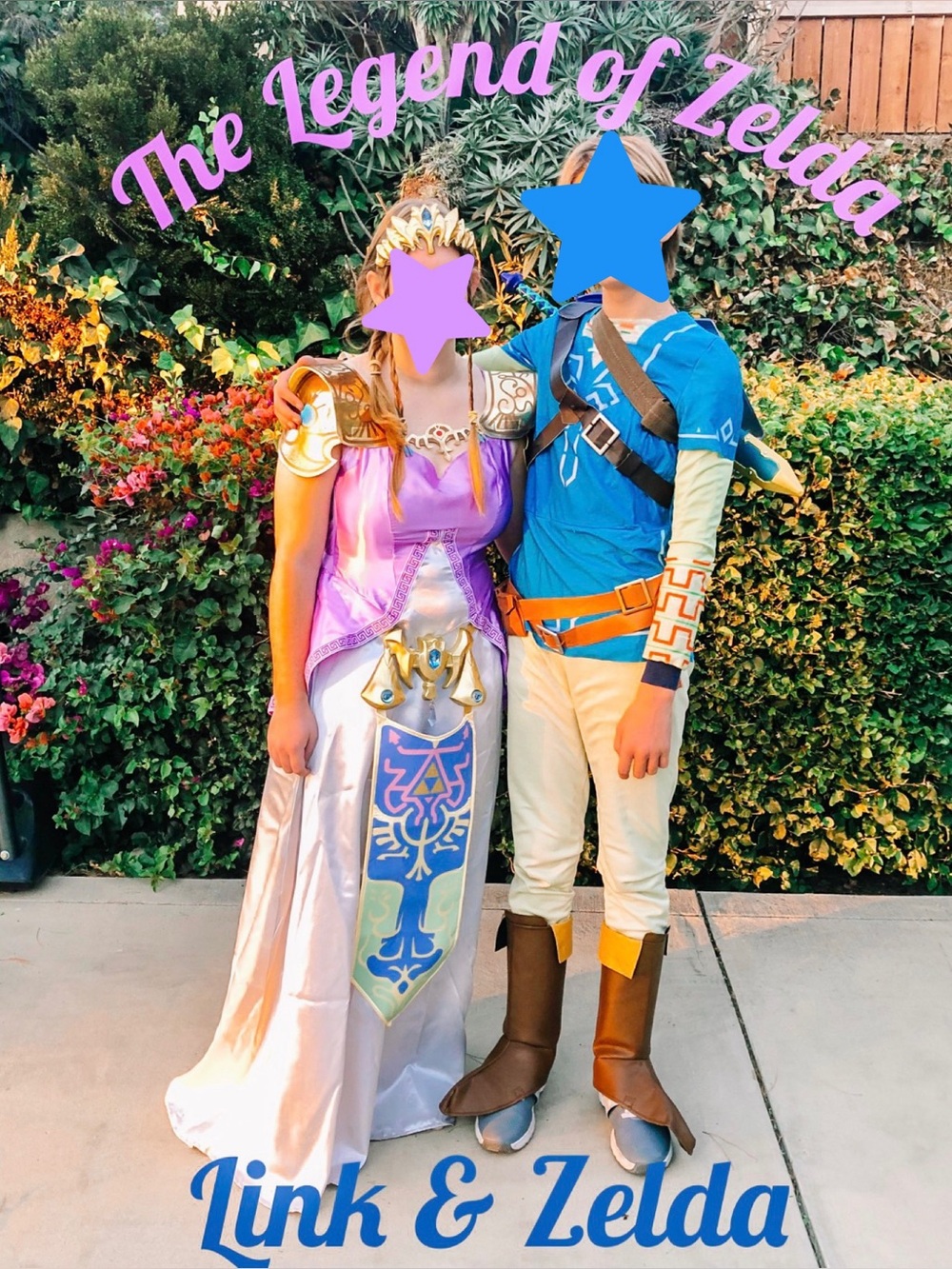 Breath of the Wild Princess Zelda Costume - The Legend of Zelda M/L